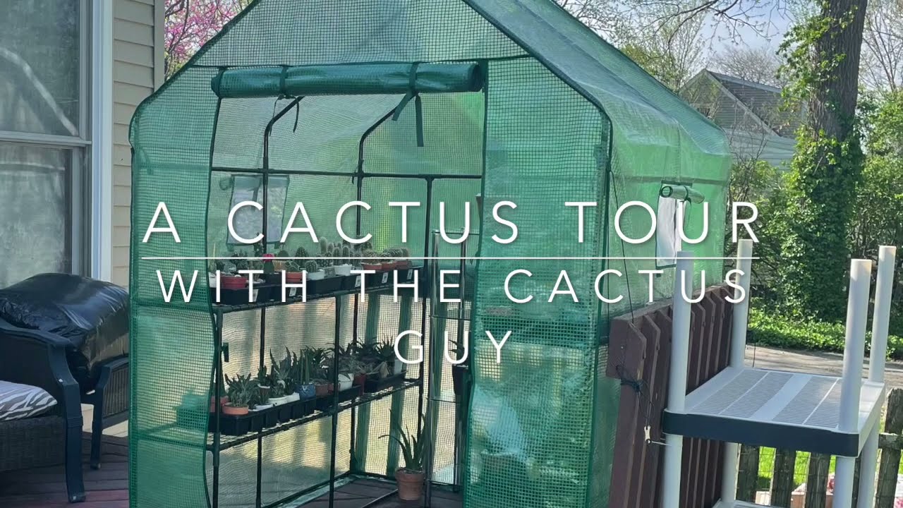 Take A Tour With The Cactus Guy
