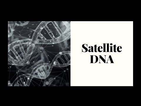 Video: Rozdíl Mezi Repetitivní DNA A Satelitní DNA