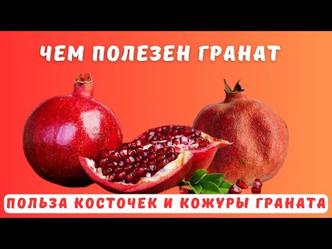 Гранаты. Чем полезны косточки и кожура граната