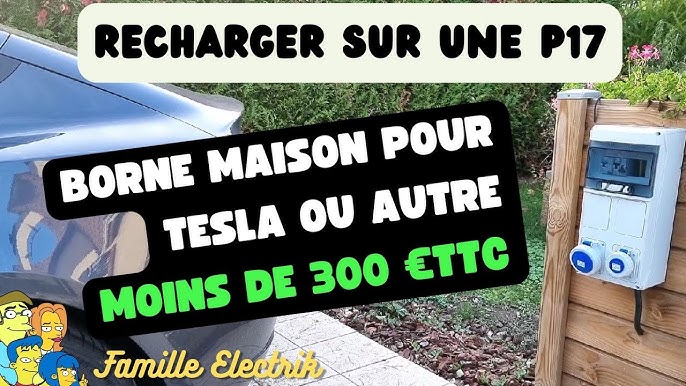 Borne de recharge SECURICHARGE EV pour Tesla