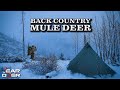 Backcountry rifle mule deer hunt  4k film