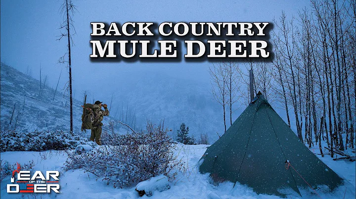 Backcountry Rifle Mule Deer Hunt | 4K FILM