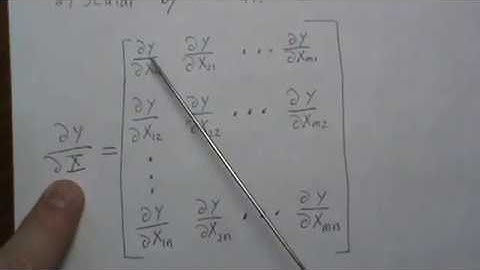 Derivative of a Determinant with respect to a Matrix