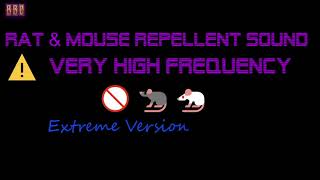 ⚠(Extreme Version)  Rat & Mouse Repellent Sound Very High Frequency (1 Hour)