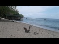 Playa Capurganá.  Chocó. Colombia.