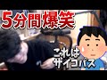はんじょう、ある話題で5分間腹を抱えて笑い続け視聴者をドン引きさせる【2022/09/27】