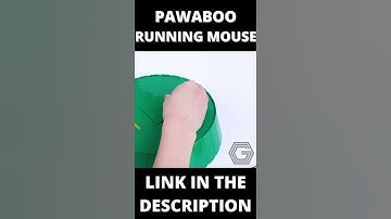 Gadgets For Cats | Pawaboo Cat Toy with Running Mouse #shorts