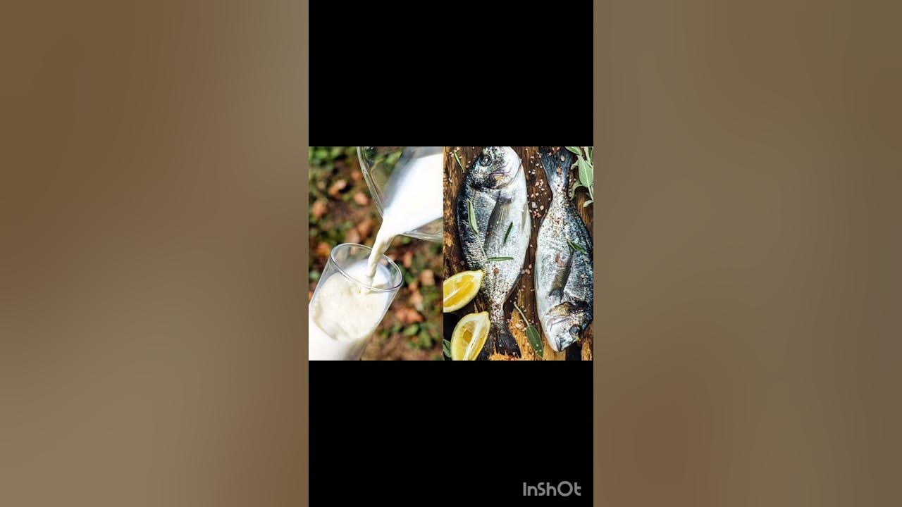 Myth Is Drinking Milk After Eating Fish A Health Hazard Andhwiswas myth-is-drinking-milk-after-eating-fish-a-health-hazard-andhwiswas