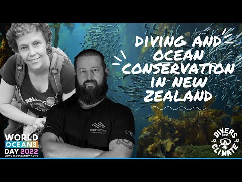 Cover of Diving and Ocean Conservation in New Zealand