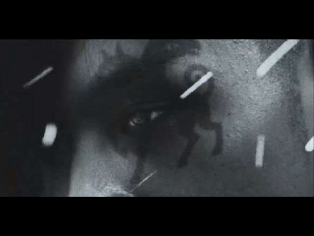 maximus! - Newjeans ( Official Video )