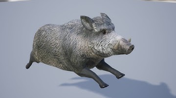 Medhue Boar for sale in Unreal Engine!!!