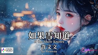 【高清MV】許文文  - 如果雪知道【Pinyin   Eng Sub | AI音樂視頻 | 繁體拼音英文動態字幕】Xu Wen Wen【许文文  -  如果雪知道】