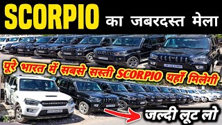 Scorpio का जबरदस्त मेला 🔥 | Second hand scorpio in delhi, Cheapest scorpio for sale, used cars