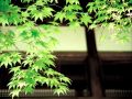 英語であそぼ Good Morning 英語であそぼ Good Morning