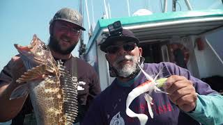 Lingcod & Rock Fish Aboard The Sea Wolf