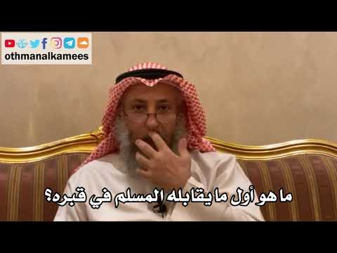 فيديو: لماذا تصعد القبرة؟