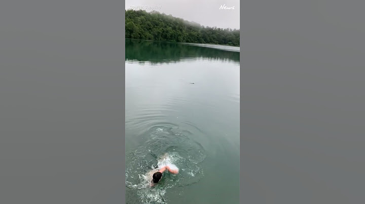 Freshwater croc spooks swimmer at Lake Eacham