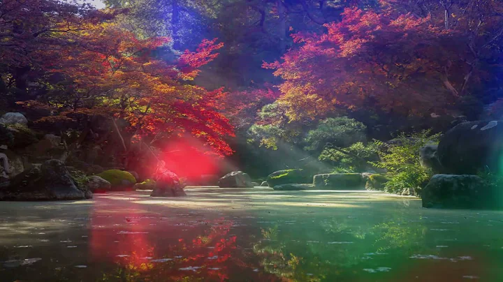 Calm & Relax Music