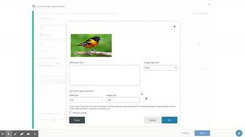 Schoology Drag and Drop Assessment