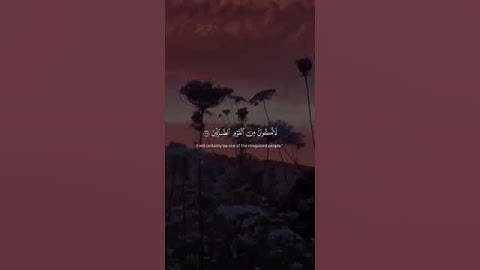 تلاوة خاشعة بصوت الشيخ ياسر الدوسري #القرآن_الكريم #تلاوة_خاشعة #تلاوات #ياسر_الدوسري