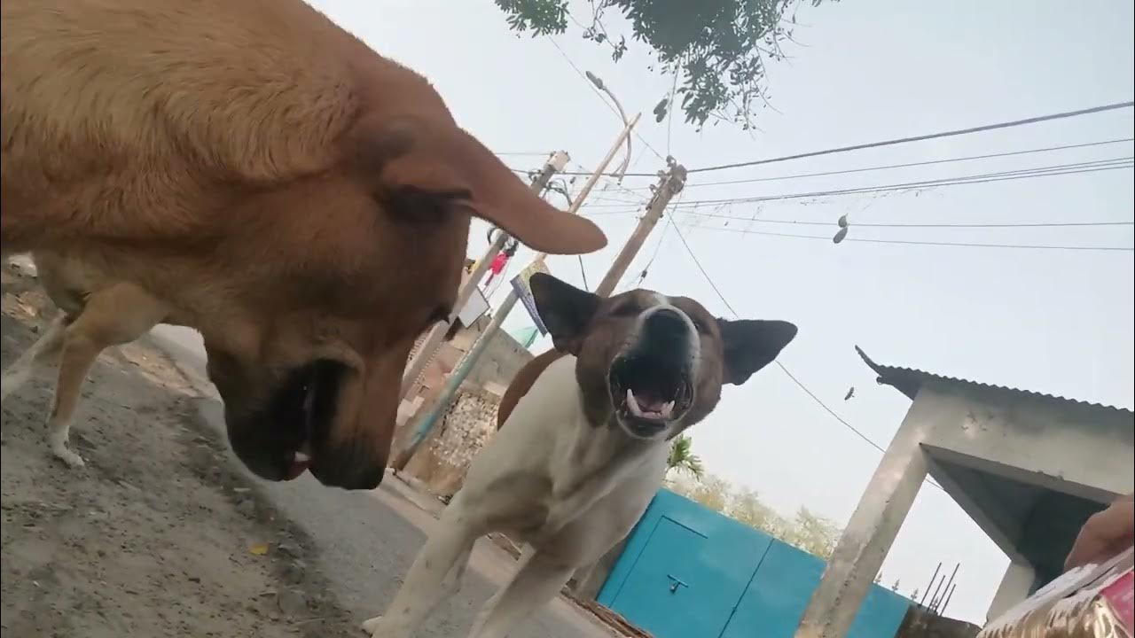Insaan Se Dosti Karne Se Aacha AAP Logo Se Dosti Karna Mujhe Aacha jab-allah-chahta-hai-keh-kisi-bande-se-dosti-aqwal-e-zareen-urdu