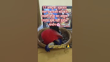 17 अक्टूबर शुक्रवार रमा एकादशी को करे लक्ष्मी वृद्धि का अचूक उपाय चुके नहीं दुर्लभ संयोग!🔱#pradeep