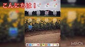 アプリなし Lineの名前をおしゃれフォントに かわいい字体に変える方法 Youtube