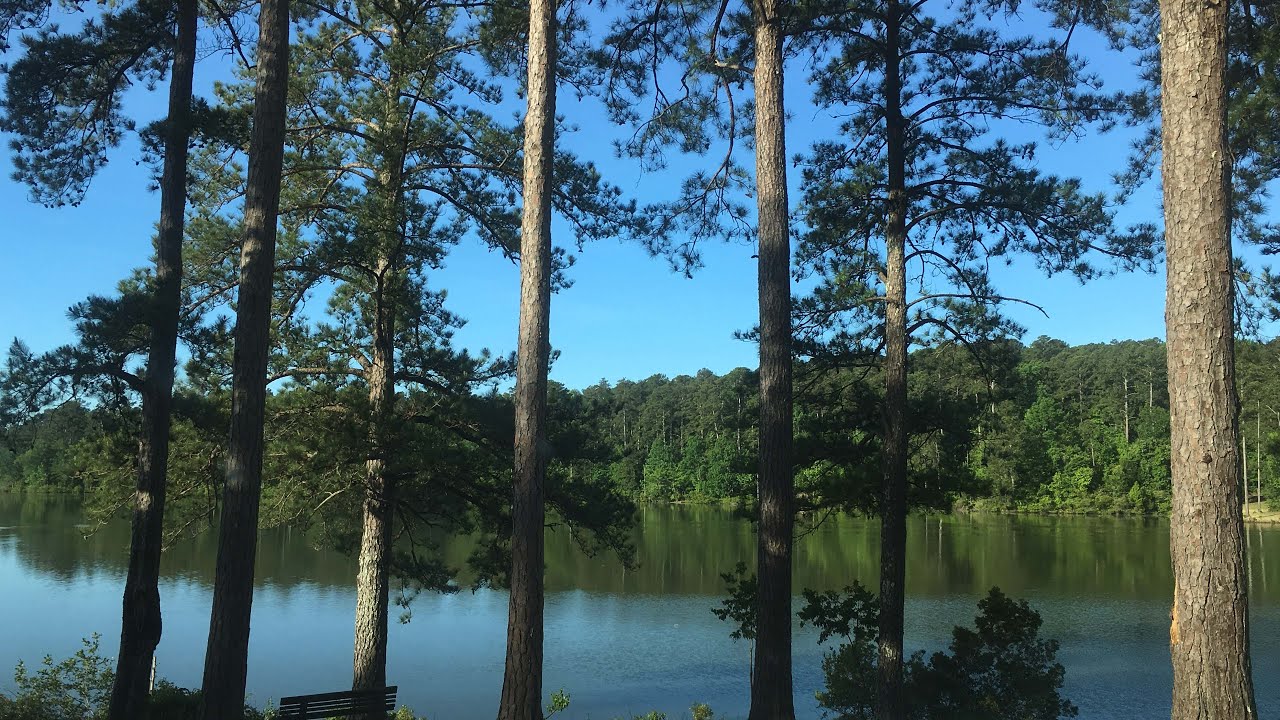 A visit to Bonita Lakes Park in Meridian, MS. April