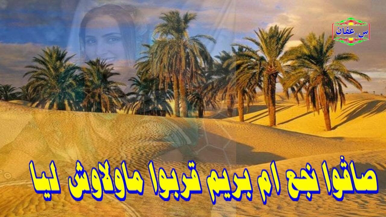 داني داني  صاقوا نجع ام بريم