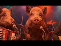 Das Kanzler Lied 💥 Satire   Song 2025