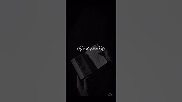 اكتب شيء تؤجر عليه 🩶😴 / القارئ فارس عباد