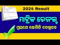 How to see matric result 2024 odisha  10th class result 2024 odia