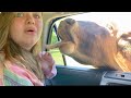 AUBREY GETS ATTACKED by ANIMALS!! DRIVE-THRU ANIMAL SAFARI GONE WRONG!