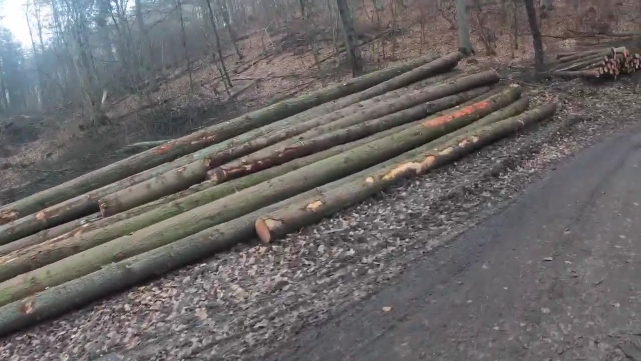 Rhein auf dem Krahnenberg-KULTUR-RAD-TOUREN.