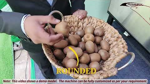 Kiwi Grading Machine by Marsh Harrier | Fruit Grading & Sorting Solution