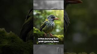 Download Lagu mitos burung kiyai jalak Lawu #mitos MP3