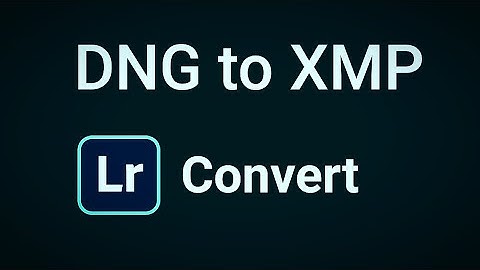 How to convert DNG to XMP File | Lightroom Mobile Tutorial | Yeasin Photography