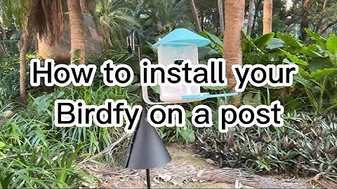 How to Install Your Birdfy Feeder on a Post