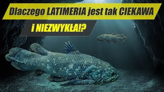 LATIMERIA - skamieniałość która nie wyginęła! - najdziwniejsze zwierzęta świata #8