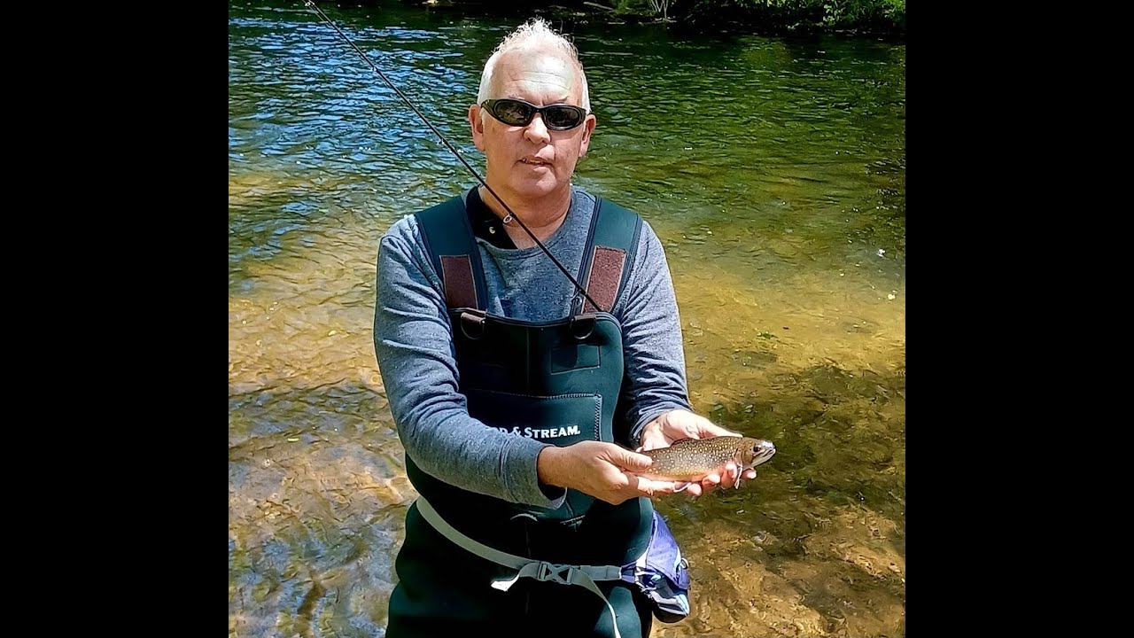 How to Catch Trout with a Rooster Tail Spinner! 