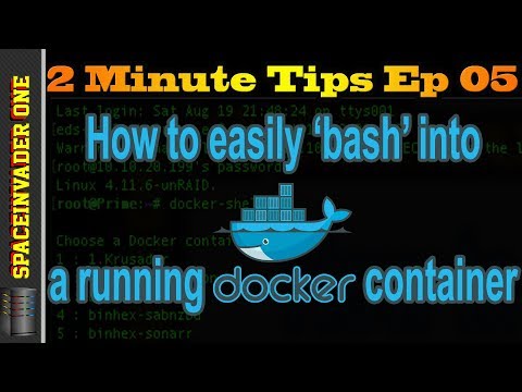 How to easily bash into a running docker container   2 minute tips ep05