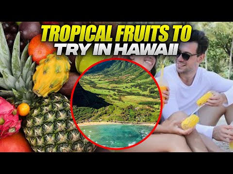 Vidéo: Hawaï est-il tropical ou subtropical ?