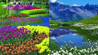 Aaj Unse Milana Hai Hamen Salman Khan Hindi audio MP3