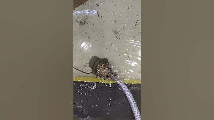 Bomba sapo retirando água da chuva