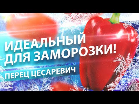 РАССАДА ПЕРЦА 2020. КАКОЙ СОРТ ВЫБРАТЬ?