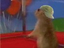 Chipmunk Дэвид Блейн
