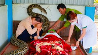 72 Hours Survival Nightmare: Helping a Sick Victim as Giant Python Invades Her Bed - Hunting Catfish Wealth
