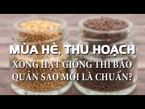 Video: Lựa Chọn Hạt Giống Theo Mùa