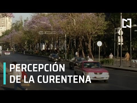 Precepción de la cuarentena en México - Sábados de Foro