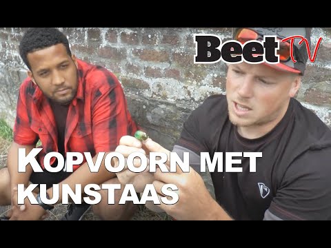 Video: Yelets: Tussen Somber En Kopvoorn